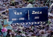 Фотография Петрак Наташи