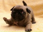 Фотография Васильевой Ольги