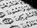 دامير إبراغيموف фотография #3 (источник - https://vk.com/id152161503)