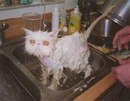 Аріяночка Кіцак фотография #28 (источник - https://vk.com/id164953847)