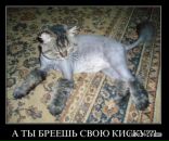 Фотография Стрекалова Павла