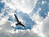 Фотография Корсаковой Марины