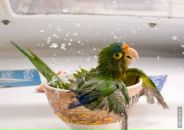 Фотография Гарькуши Алексея