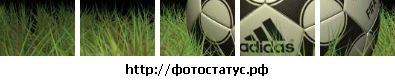 Руслан Луців фотография #1