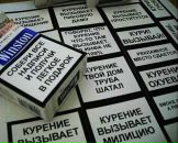 Фотография Ткаченко Анны