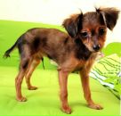 Фотография Симановой Яны