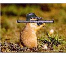 Назар Веліканов фотография #18 (источник - https://vk.com/id160925722)