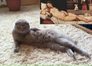 григорий лапин\попов\ фотография #24 (источник - https://vk.com/id60849552)