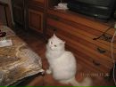 Ілюха Гаєвський фотография #24 (источник - https://vk.com/id105856481)