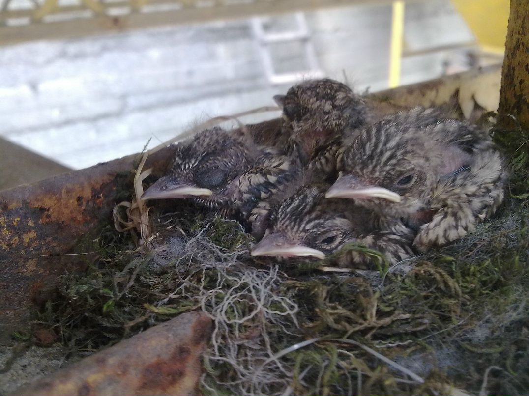 Дмитрий Туркевич фотография #28