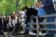 Фотография Володиной Елены