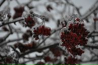 Фотография Успенской Дианы