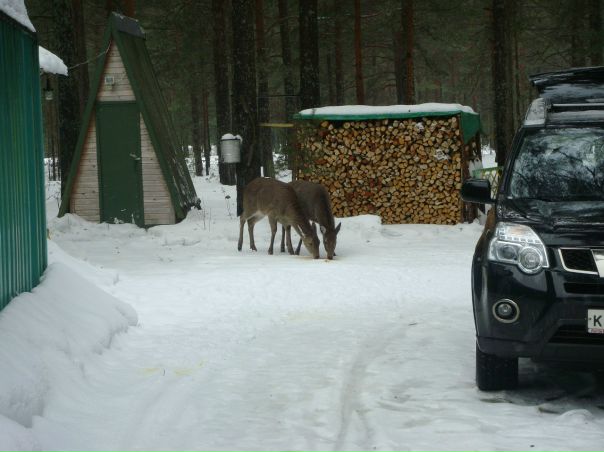 Ольга Стефанова фото №36