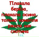 Ростік Загоруйко фотография #15 (источник - https://vk.com/id153748884)