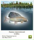 Євген Мішустін фотография #3 (источник - https://vk.com/id20056123)