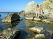 Олексій Сорочинський фотография #29 (источник - https://vk.com/id36957291)