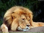 Фотография Володькина Владимира