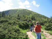 Діана Щегельська фотография #9 (источник - https://vk.com/id121125662)