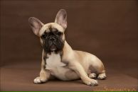 Андрій Качмар фотография #25 (источник - https://vk.com/id166788350)