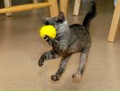 Фотография Федотовой Натальи