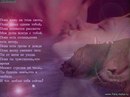 Анастасія Гасюк фотография #22 (источник - https://vk.com/id167519398)