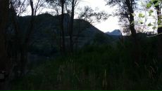 Ростік Худик фотография #11 (источник - https://vk.com/id87017695)