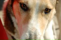 Фотография Липов Владислав