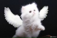 Фотография Запрудиной Елены