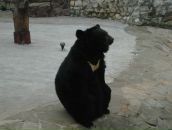 Фотография Каетиной Дарьи