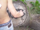 Сосите Лапу фотография #9 (источник - https://vk.com/id141835834)