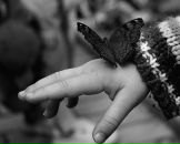 Фотография Святец Дианы