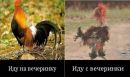 Валентин Васильків фотография #9 (источник - https://vk.com/id421365343)