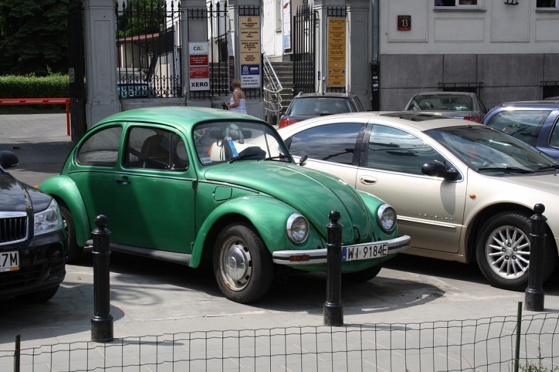 Денис Серов фотография #40