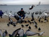 Фотография Шеламова Владимира