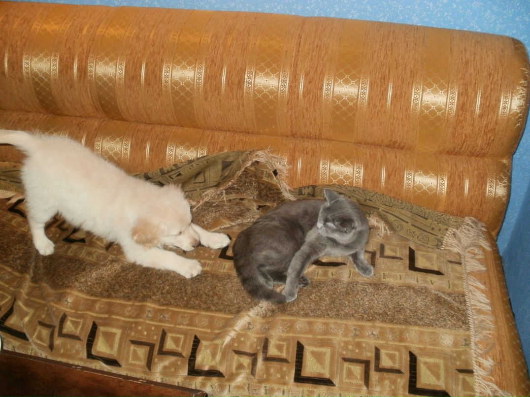 Иван Мозоля фотография #50