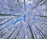 Фотография Горбатенко Светы