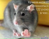 Стас Гребиньский фотография #22 (источник - https://vk.com/id85393011)