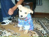 Фотография Скамейкин Дмитрий