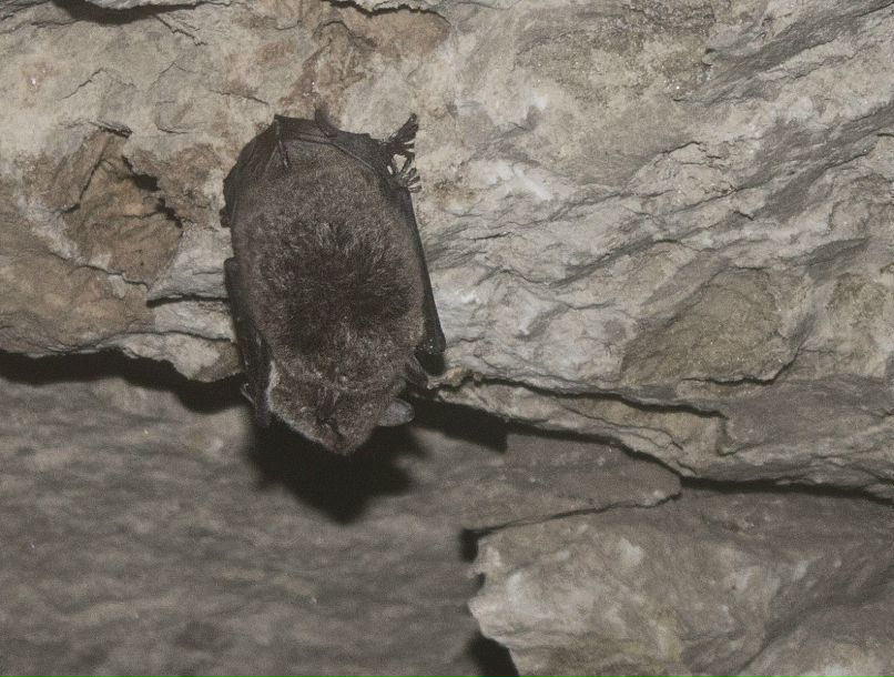 Дмитрий Черевко фотография #32