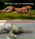 Фотография Павел Елисеев