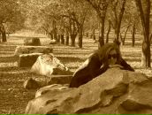 Фотография Ермохиной Иры