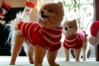 Фотография Новиковой Аллы