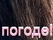 Софія Мальська фотография #22 (источник - https://vk.com/id143282674)