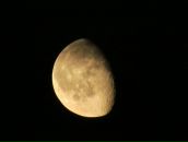 Фотография Звягина Мити