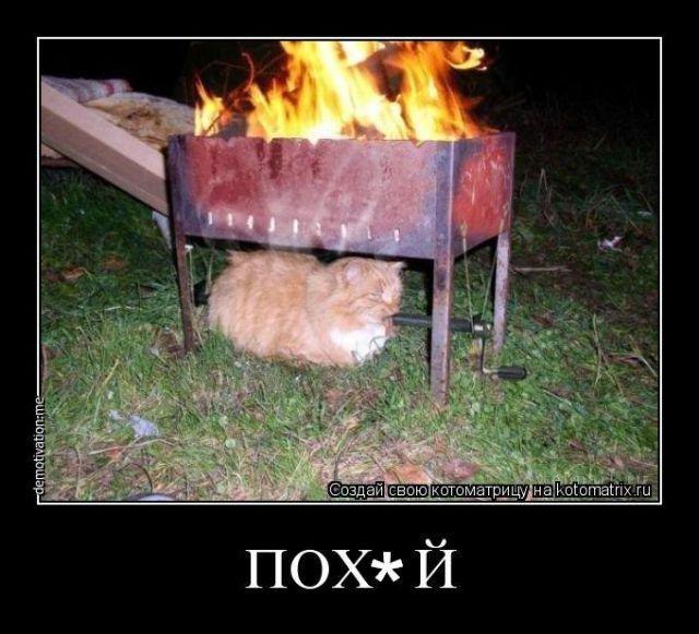 Иван Хулиган фотография #31