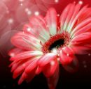 Юлія Ганжа фотография #24 (источник - https://vk.com/id168453202)