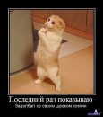 Фотография Якубецкого Дмитрия