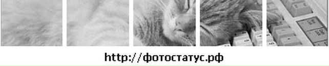 Свєтка Канфєтка фотография #42 (источник - https://vk.com/id89266250)