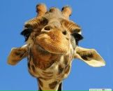 Фотография Комаровой Татьяны