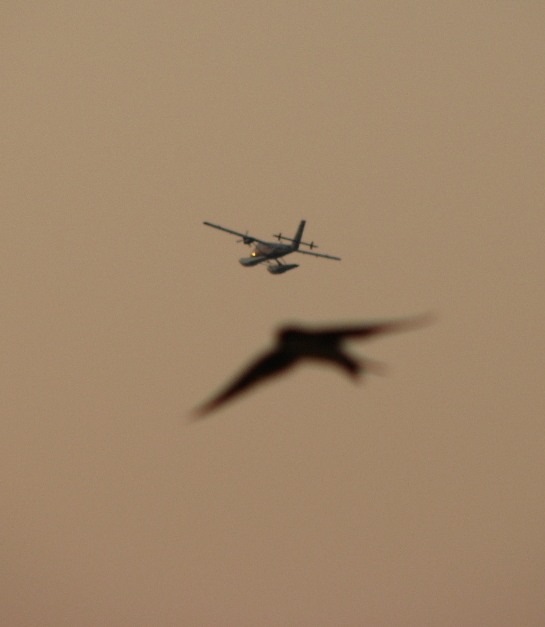 Данила Плотников фотография #45